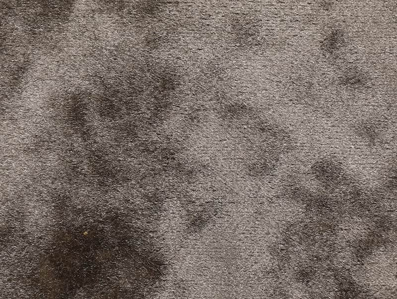 Upholstery Polyester Italian Velvet holoserica CXII velum contritum